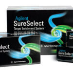 4f2aj2akb4q3kzkdwv3jpat8afazuuk4 150x150