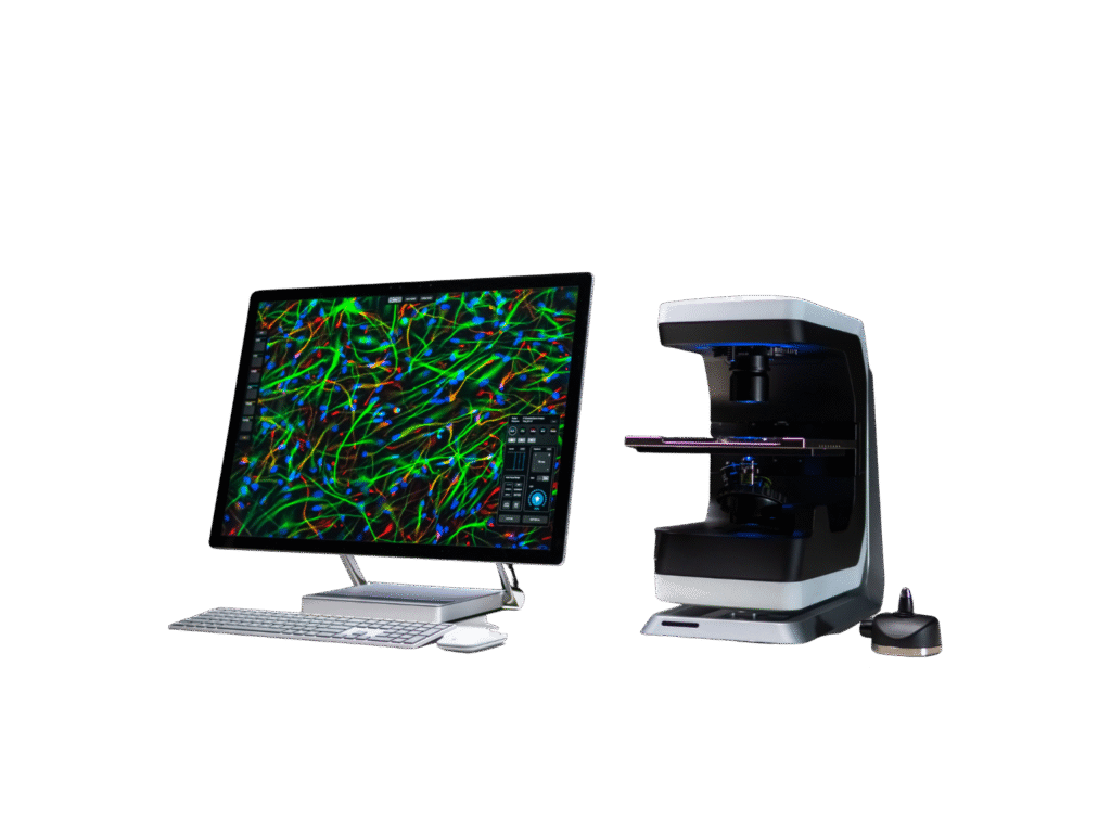 Blue Green and Yellow Simple Project Management Overview Gantt Chart 2 1024x768