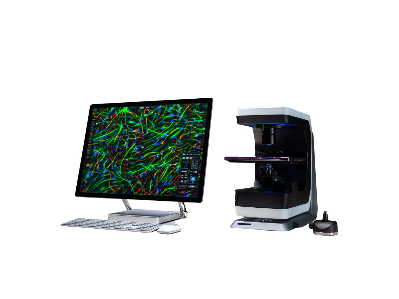 Blue Green and Yellow Simple Project Management Overview Gantt Chart 2