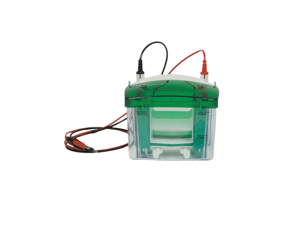 Blue Green and Yellow Simple Project Management Overview Gantt Chart 8 1024x768