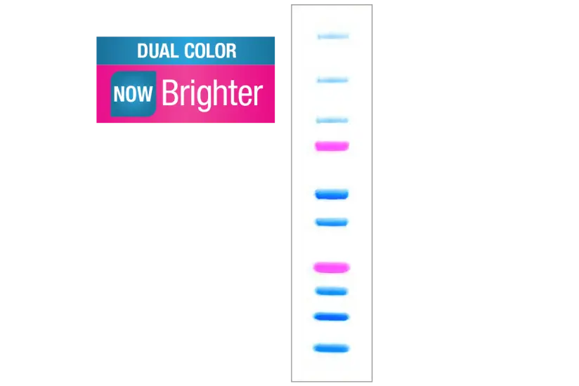 Featured prod precision plus protein