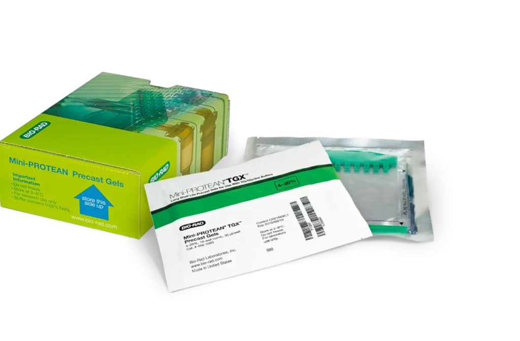 Lsr Mini Protean precast gels Stainfree 1024x672