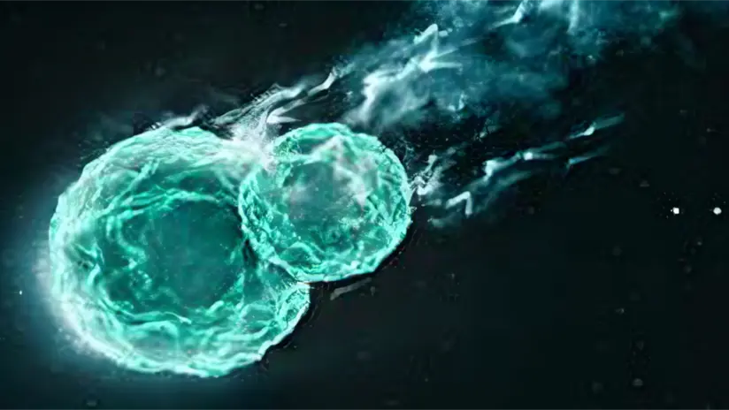 From Innate Immunity to Adaptive Responses application L3